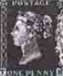 Immagine che contiene testo, gufo, mammifero

Descrizione generata automaticamente